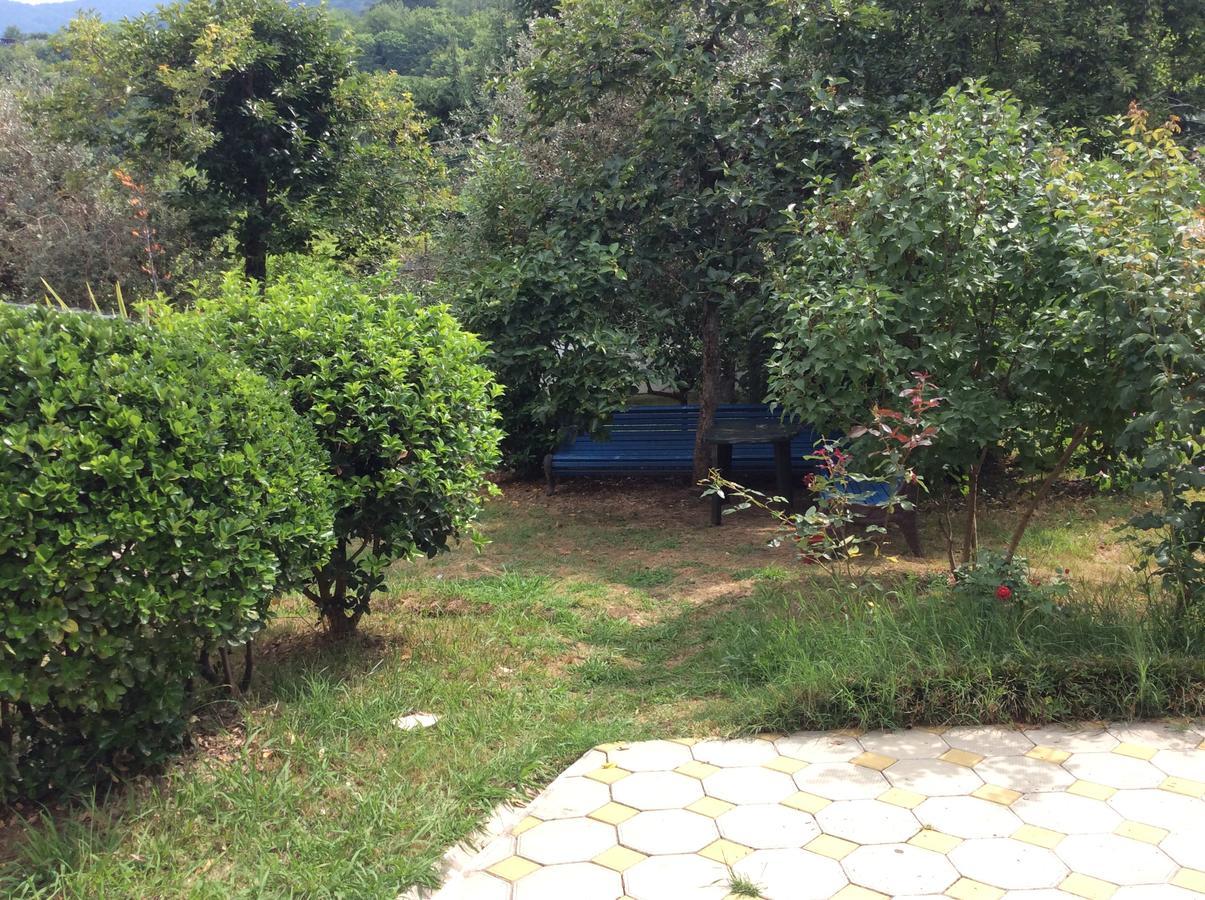Guest House Dali Gagra Exterior foto