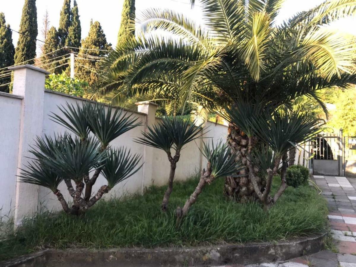 Guest House Dali Gagra Exterior foto